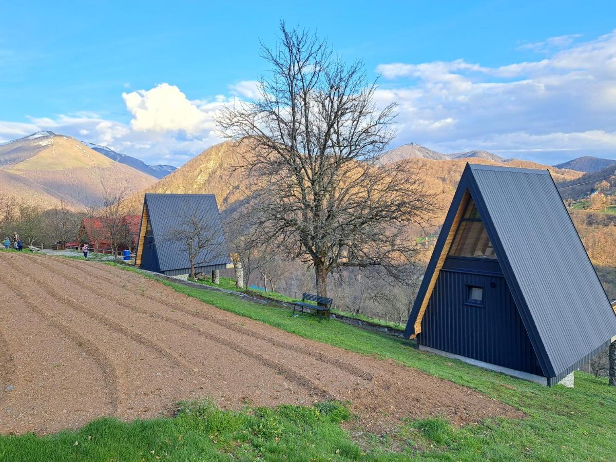 Fern Farm Tiny Home Mojkovac Kültér fotó