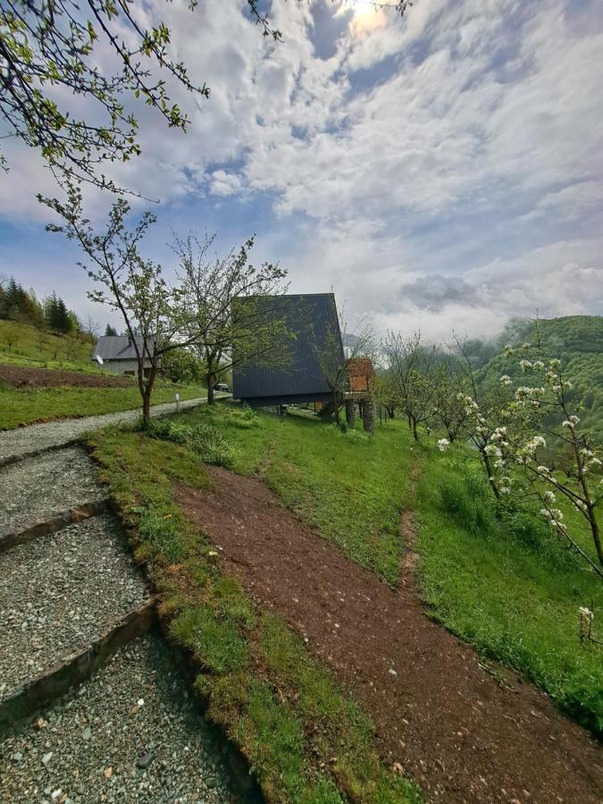 Fern Farm Tiny Home Mojkovac Kültér fotó