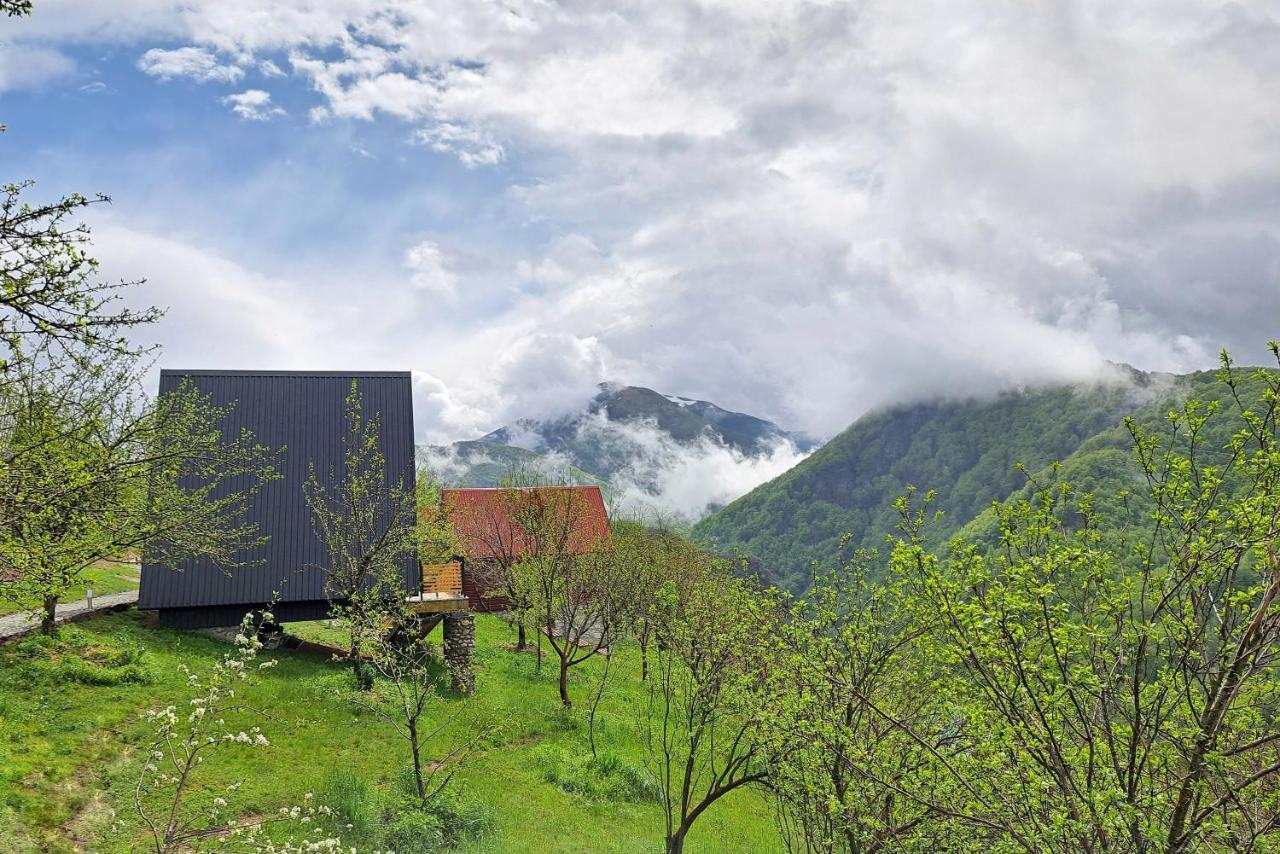 Fern Farm Tiny Home Mojkovac Kültér fotó