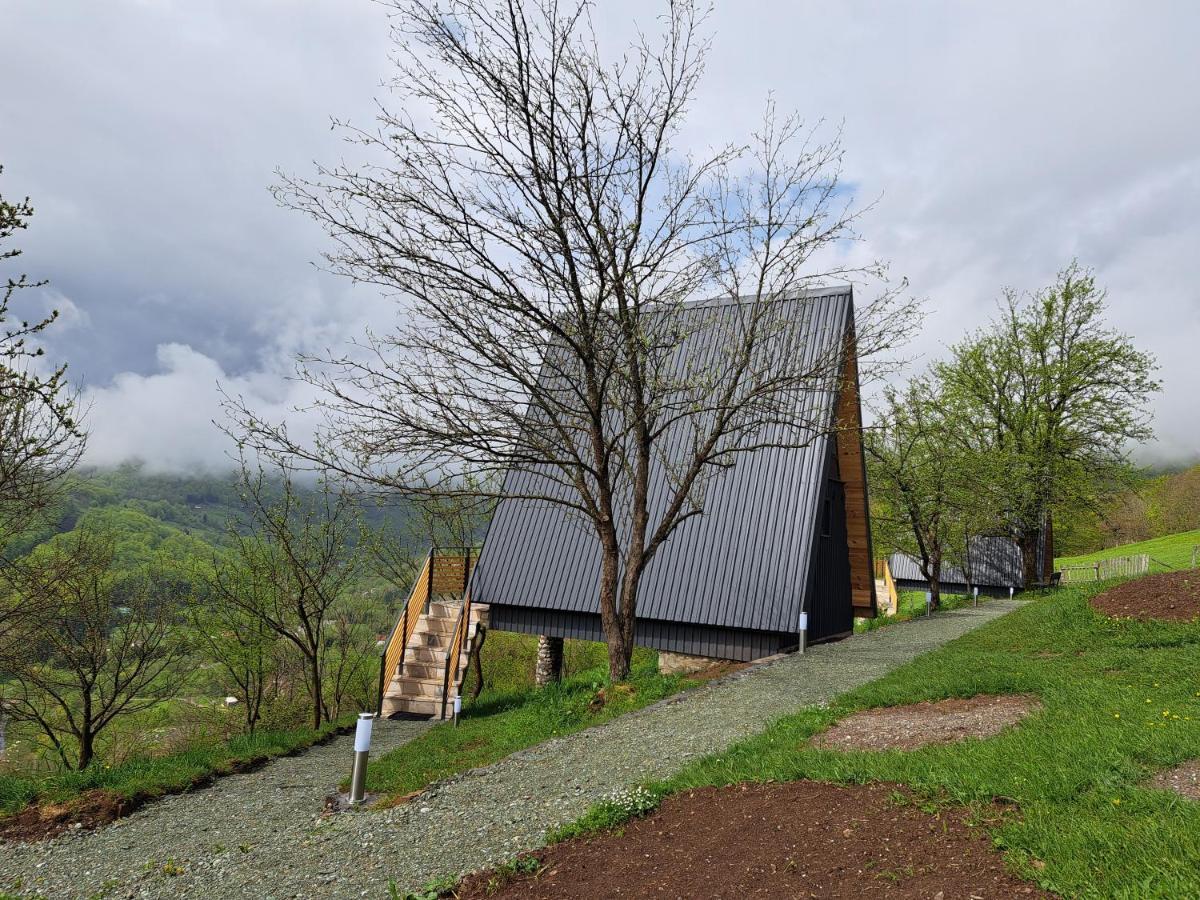 Fern Farm Tiny Home Mojkovac Kültér fotó
