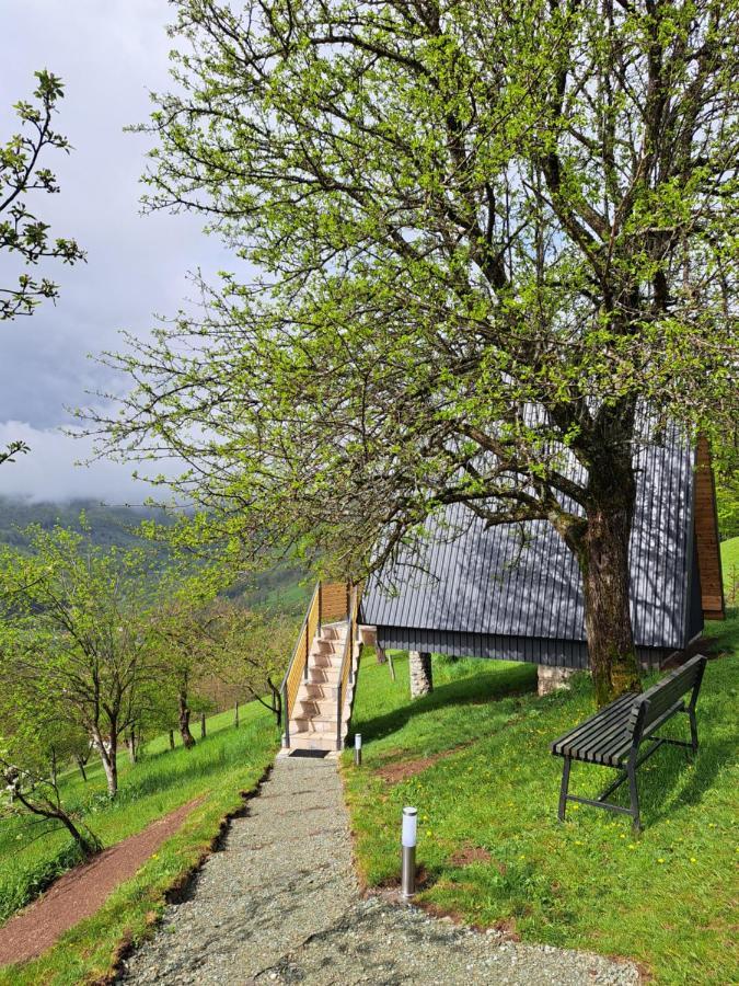Fern Farm Tiny Home Mojkovac Kültér fotó
