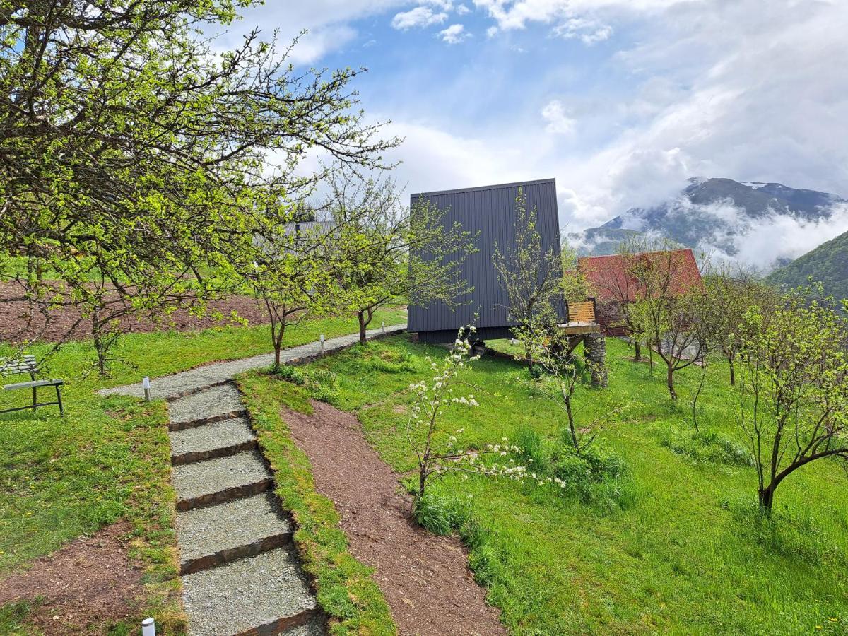 Fern Farm Tiny Home Mojkovac Kültér fotó