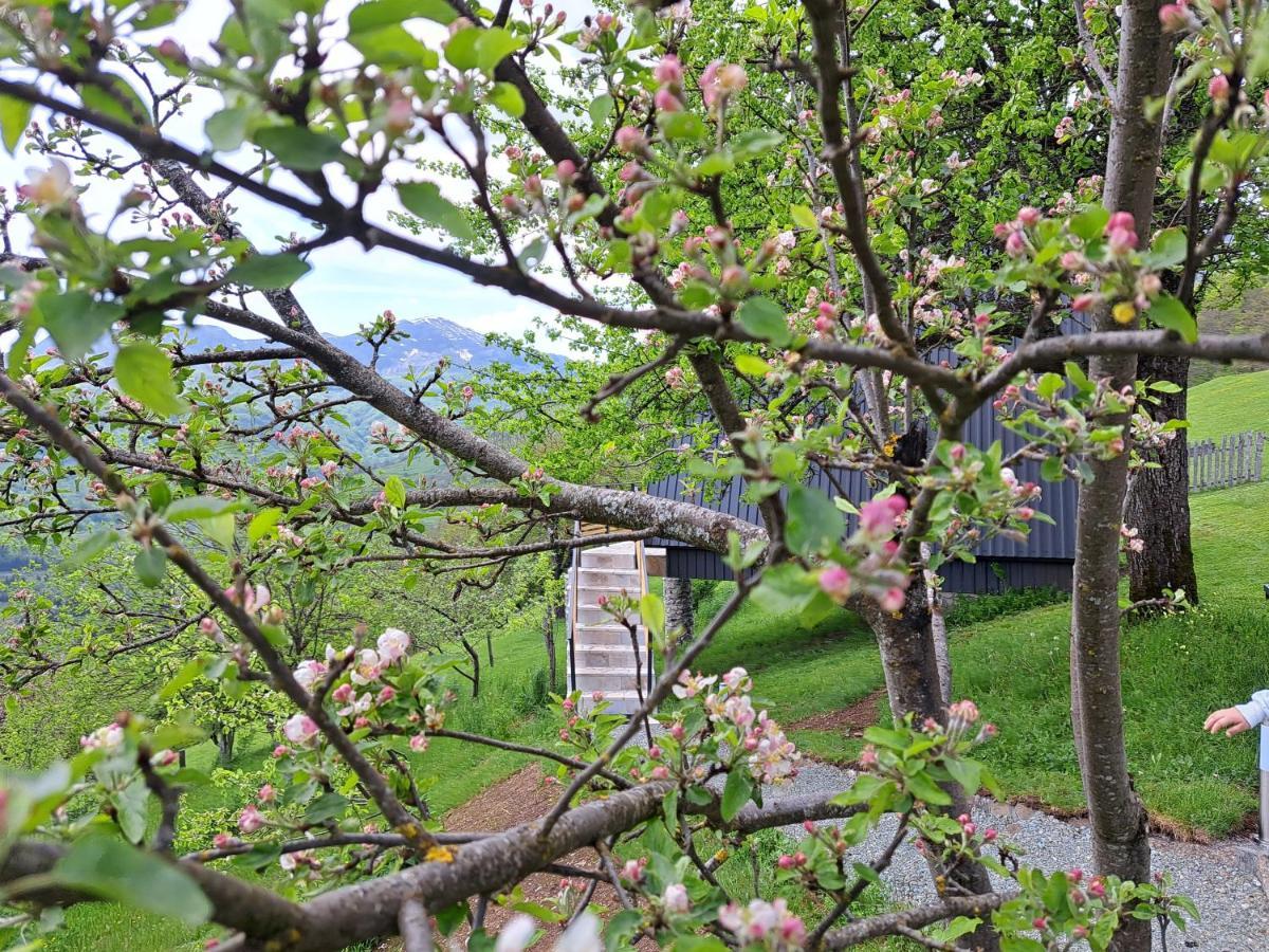 Fern Farm Tiny Home Mojkovac Kültér fotó