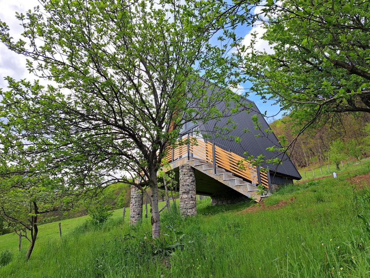 Fern Farm Tiny Home Mojkovac Kültér fotó
