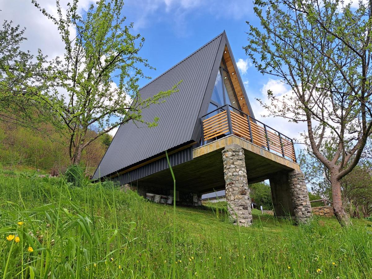 Fern Farm Tiny Home Mojkovac Kültér fotó