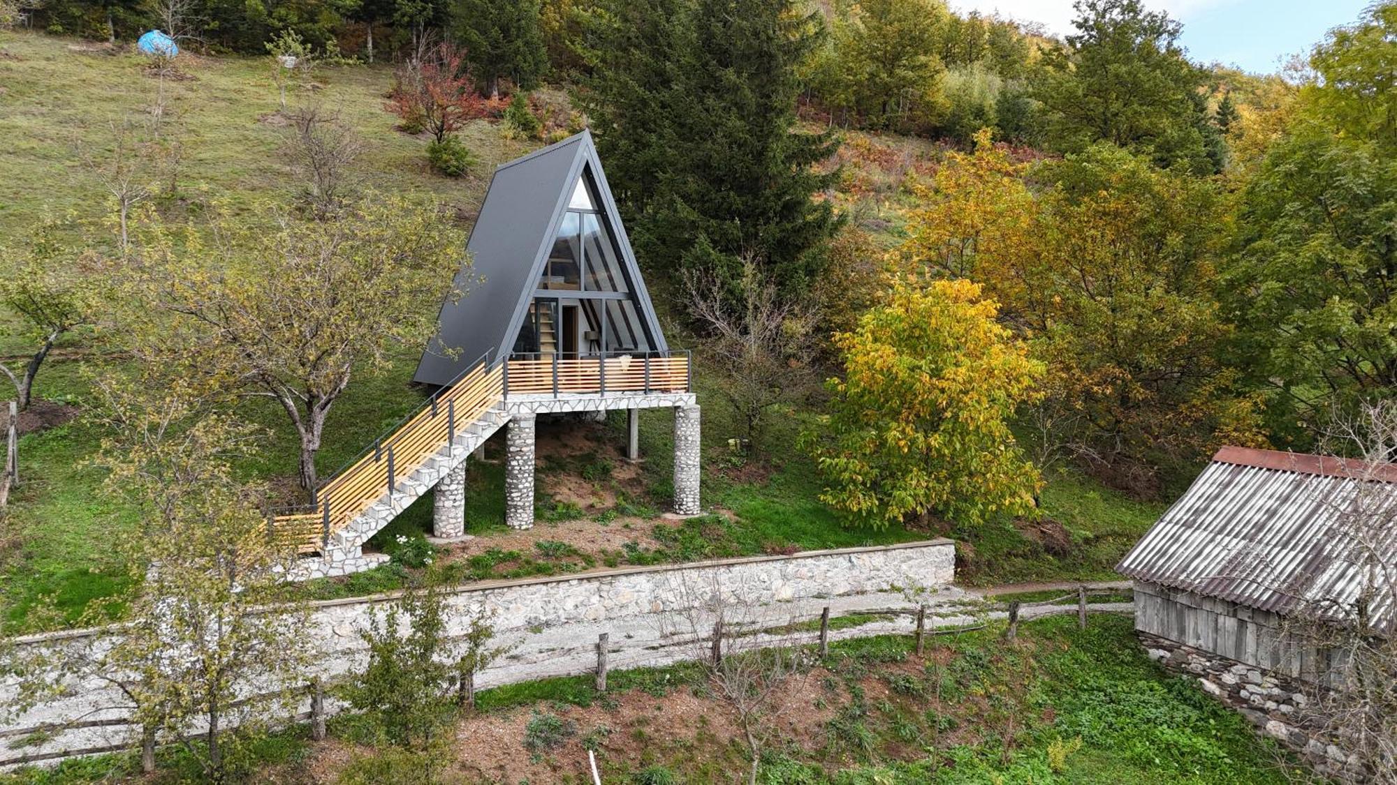 Fern Farm Tiny Home Mojkovac Kültér fotó
