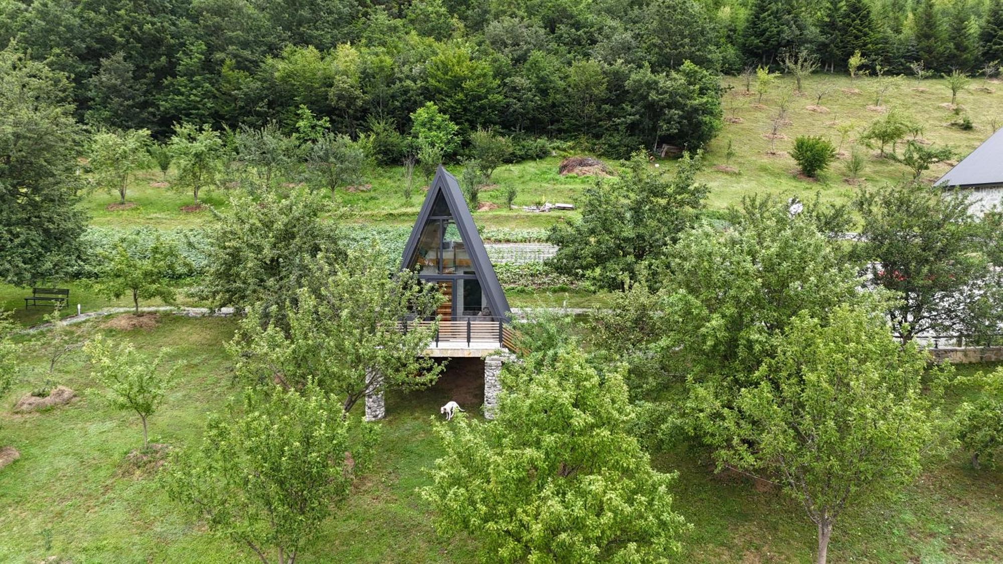 Fern Farm Tiny Home Mojkovac Kültér fotó