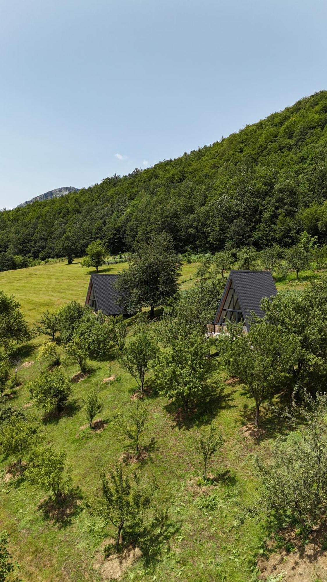 Fern Farm Tiny Home Mojkovac Kültér fotó