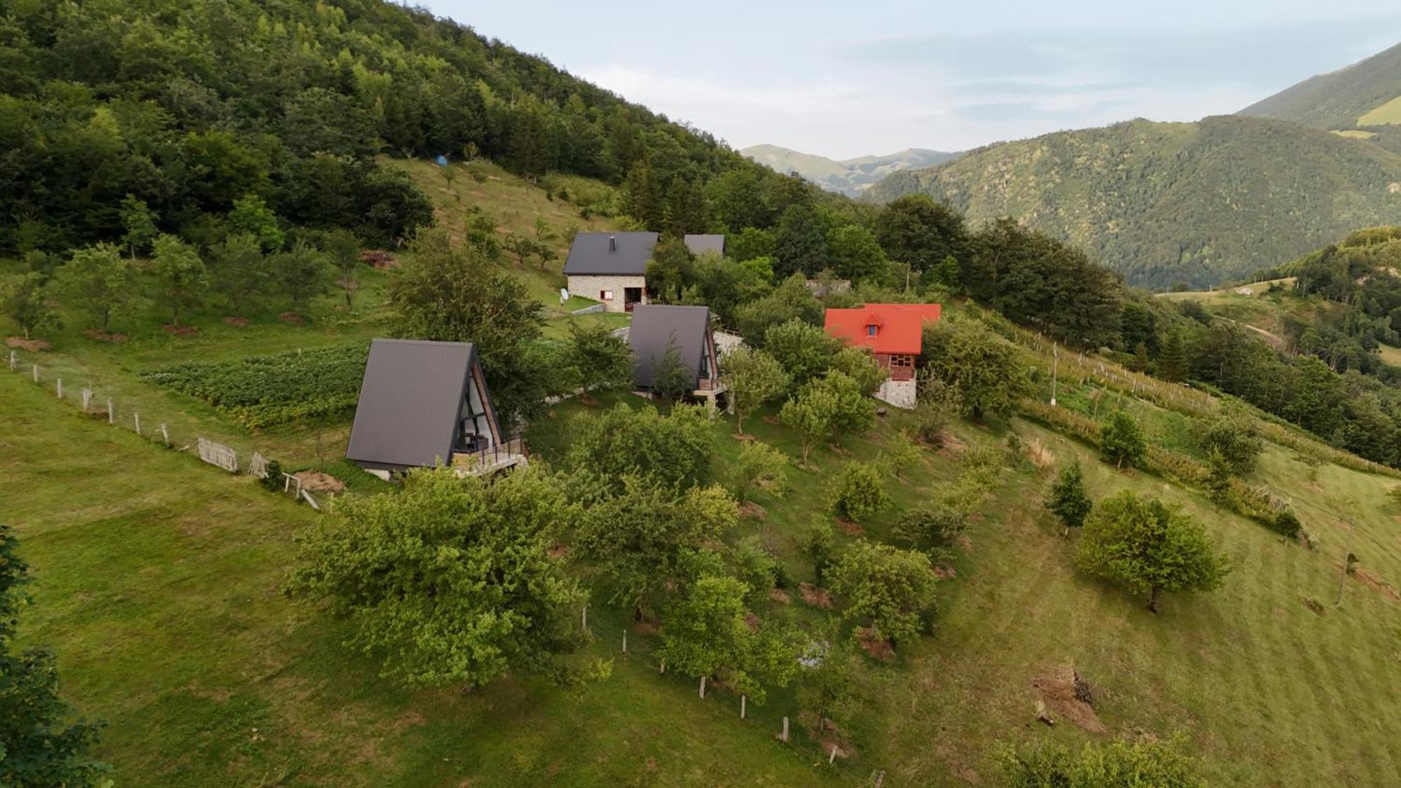 Fern Farm Tiny Home Mojkovac Kültér fotó