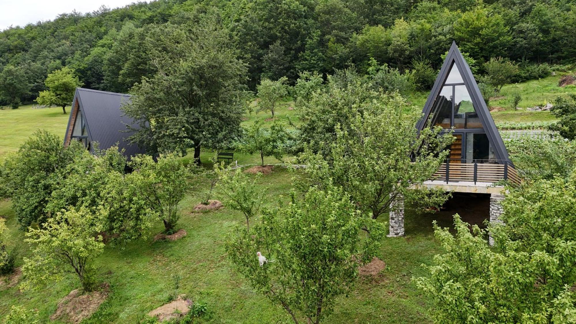 Fern Farm Tiny Home Mojkovac Kültér fotó