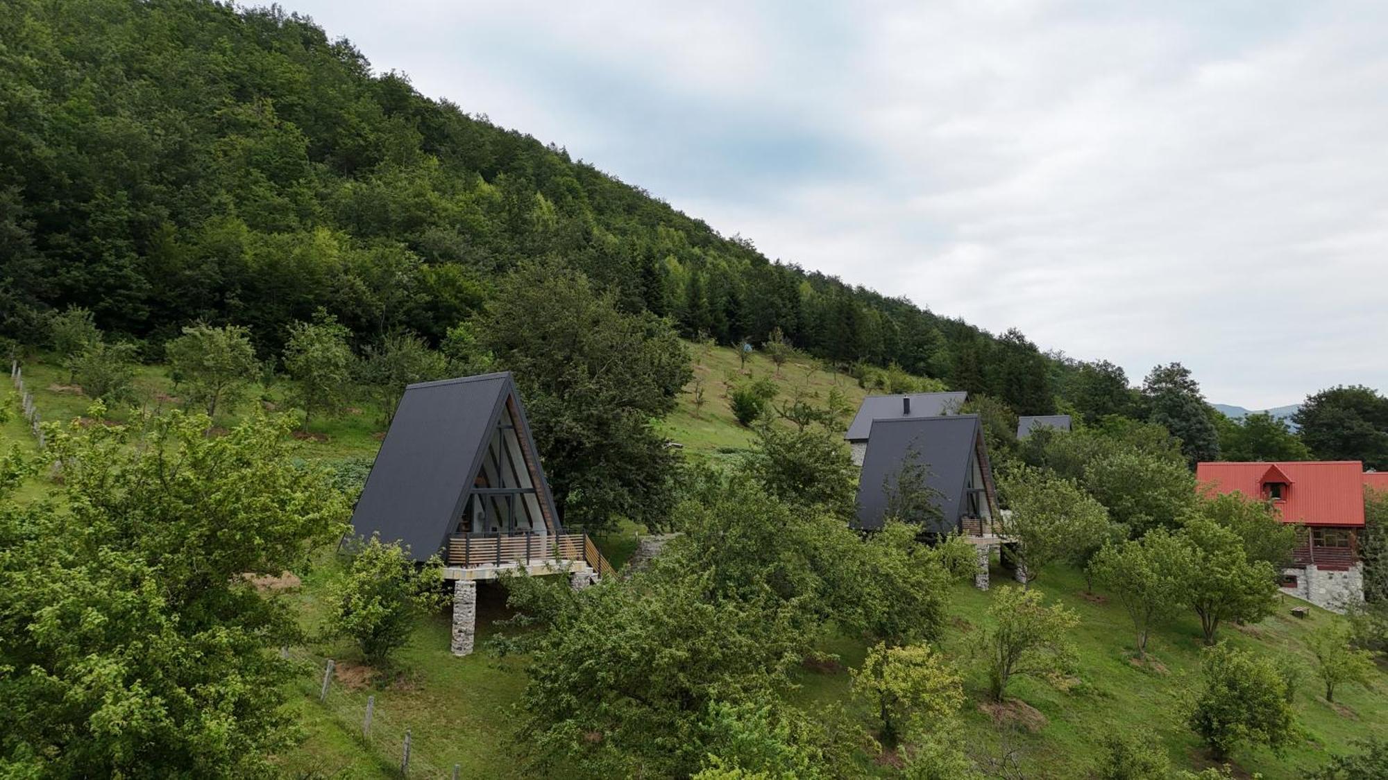 Fern Farm Tiny Home Mojkovac Kültér fotó