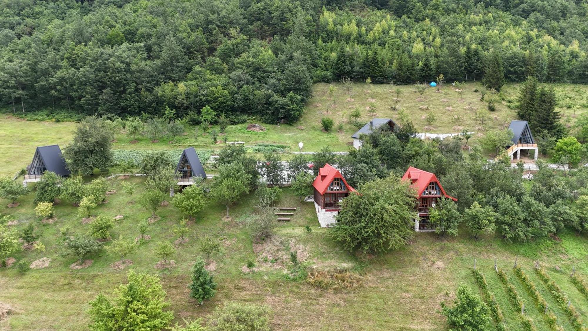 Fern Farm Tiny Home Mojkovac Kültér fotó