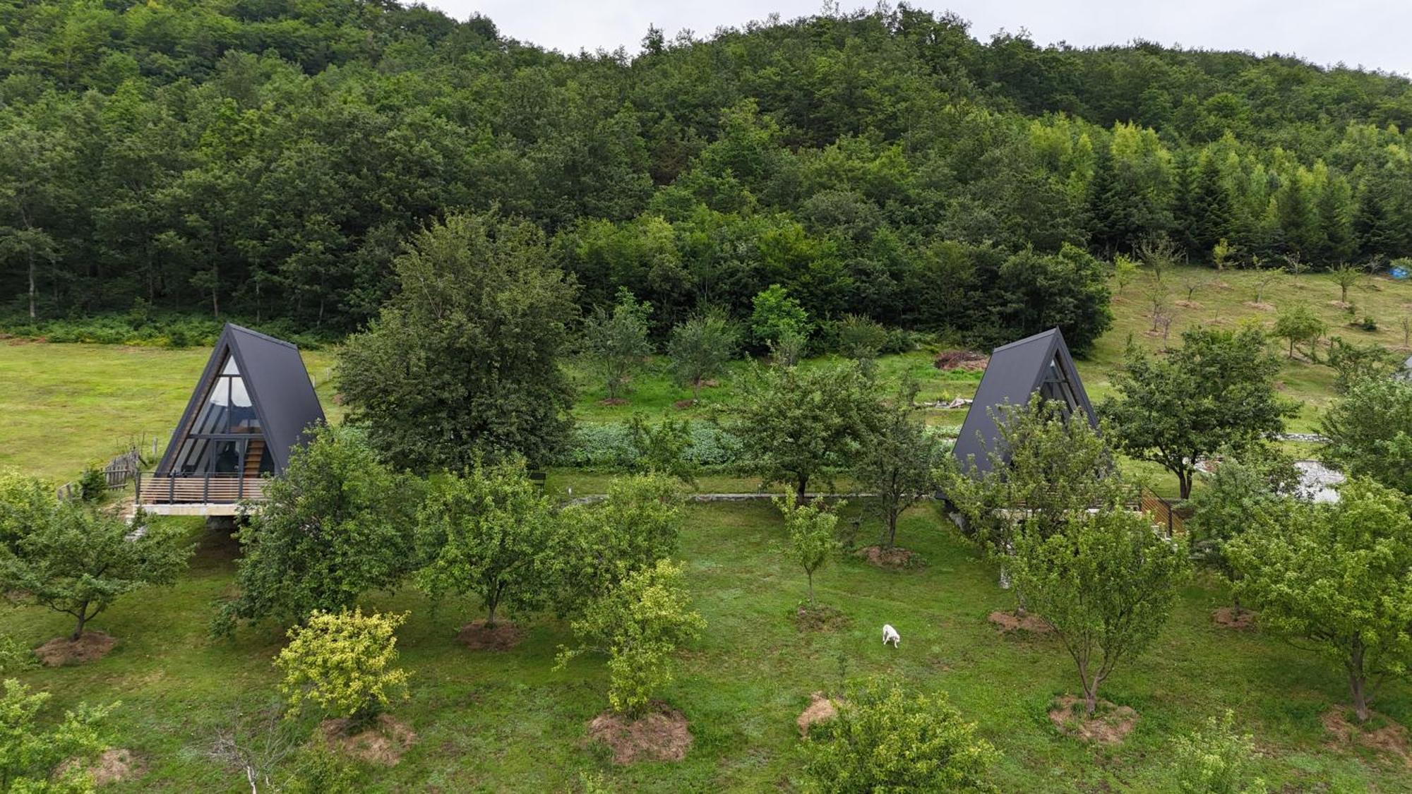 Fern Farm Tiny Home Mojkovac Kültér fotó